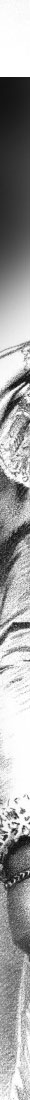 Countess Marie Raineria Waideck | Princess of Campofranco Gr�fin Marie Reineria Weideck Lucchesi Palli| F�rstin  Campofranco | Tochter von Erzherzog Heinrich von �sterreich Royal Imperial Wedding Jewels countess waideck,princess of campofranco,marie reineria gr�fin Waideck,f�rstin Campofranco,austria-hungary monarchy,prince campofranco,countess marie reinera,hochzeit,imperial,erzherzogin,archduchess,jewellery,royal jewels,Habsburger,schmuck,tiara,tiaras,diadem,diamant,koechert,diamonds,kaiserlich,f�rstin campofranco,habsburg,schmuckankauf,archduchesse,monarchie,autriche,kaiserhaus,imperial,archduchessofaustria, austria austrian,�sterreich,austrianimperialfamily,austrianroyals,austrianroyalty royaloftheday royaldeldia casasreales royaltiara austriaancourt,royalhouses monarchy royalty nobility royals history royalfamily,austria,royalty,royals