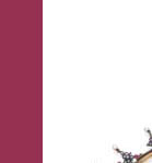 Empress Eugenies rubies and diamond jewels