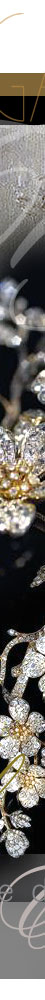 Princess Hortense de L'Espine de Cro| Impressive important Diamond Corsage Ornament made by Lalique for Vever |Stomacher Princesse Louis de Cro  German Royal Jewels princess of croy,princess of croy,herzogin von Croy,Prinzessin,vever lalique diamond corsage stomacher,german roalty,german royals,diamond stomacher,diamond stomacher brooch,royal wedding,prinzessin croy,germany,royal jewel history,Princesse Hortense de L'Espine,croy,dlmen,adelshochzeit,hochzeit in dlmen,rene lalique for Vever,Hortense de l'Espine, Princesse de Cro Dlmen, Rene Lalique for Vever, in the form of a spray of cherry blossom set with diamonds,Designed as an articulated floral branch, set with cushion-shaped, circular- and rose-cut diamonds, the flower heads set en tremblant, mounted in silver, yellow and pink gold,signed Vever, French assay and maker's mark, can be detached into three smaller brooches, accompanied by two detachable diamond set caps,vever corsage brooch,vever lalique corsage,cherry blossom diamond ornament