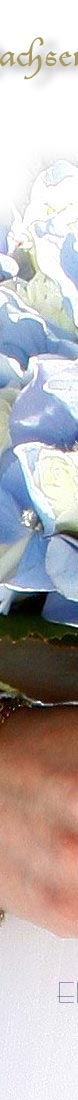Erbprinzessin Kelly | Diamant Braut Schmuck | Diamond Jewellery of the Duchess of Saxen-Coburg and Gotha