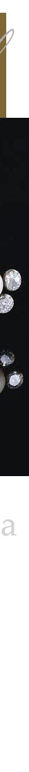 Maria Francisca Benedita Princess of Brazil |Infanta de Portugal J�ias| Royal Jewels Maria Francisca Benedita Princess of Brazil,Infanta de Portugal, J�ias,Royal Jewels,joyas,J�ias,Infanta Dona Maria Francisca Benedita Princesa do Brasil,Portugal,Royal,royal jewels,joyas,J�ias reales,realeza,diamant,diamonds,jewellery,diamond,benedita of Portugal,Princesa do Brasil,Maria Benedicta de Bragan�a,pearl brooch,natural pearls,headornament,aigrette,feather,feather brooch,feather brooch with pearls